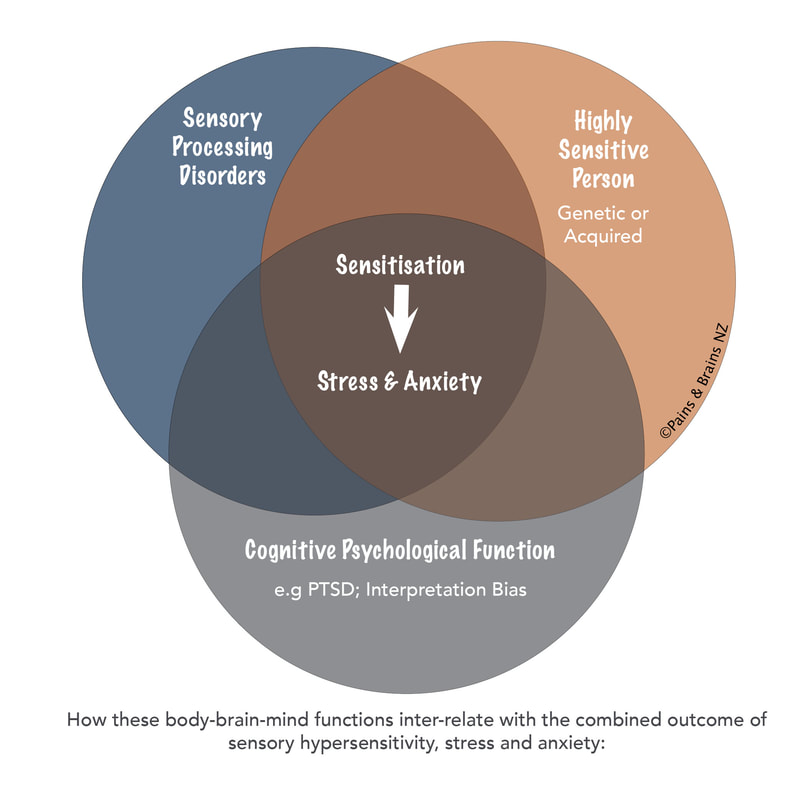 venn diagram showing inter-relationship of body-brain-mind